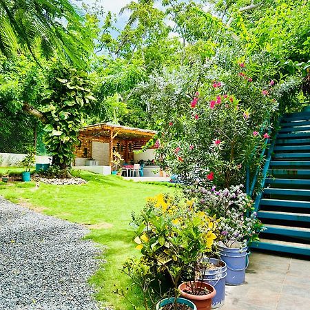فندق Palmare House San Andrés المظهر الخارجي الصورة