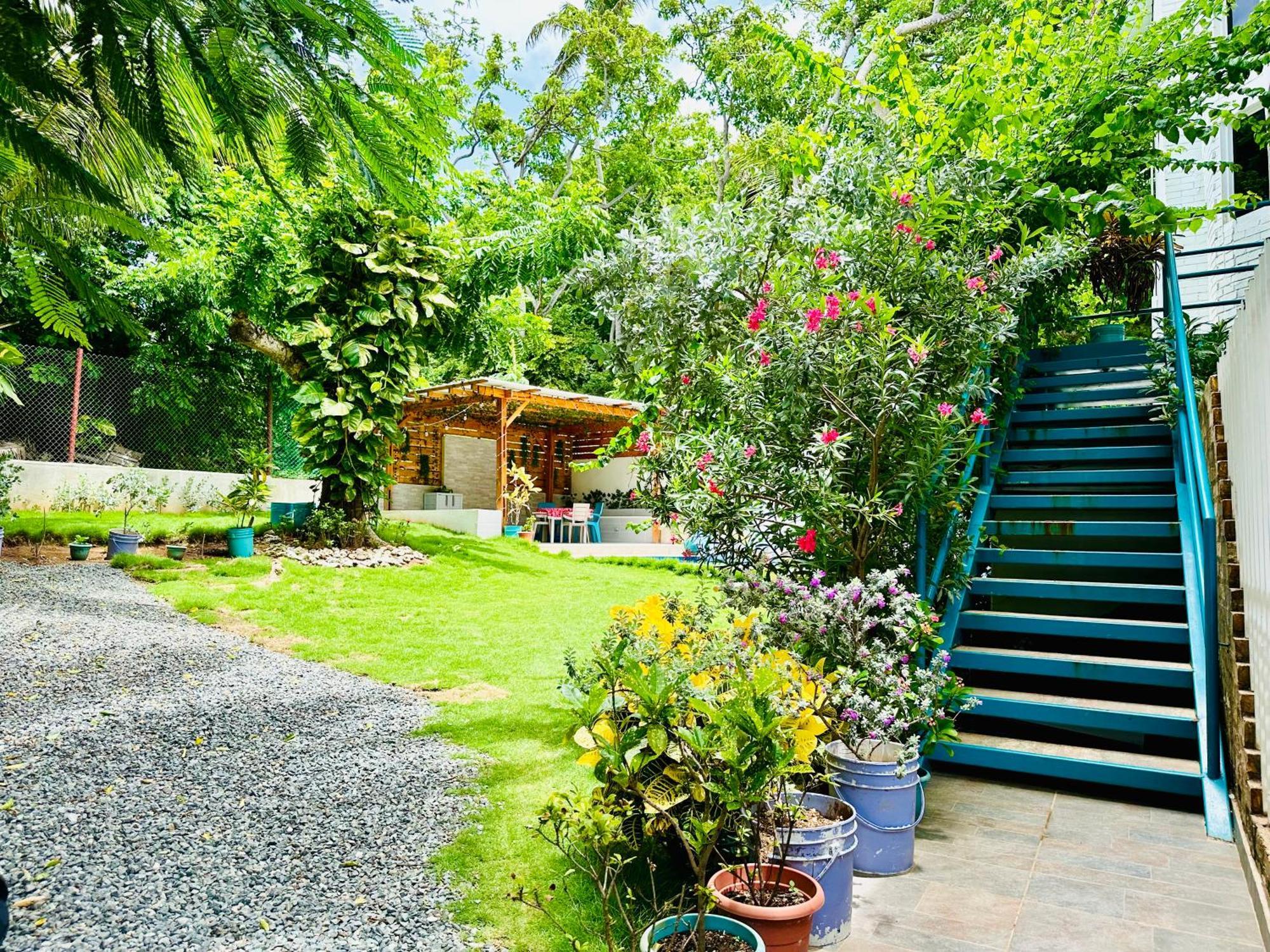 فندق Palmare House San Andrés المظهر الخارجي الصورة